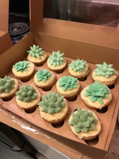 Vanilla cupcakes piped as green succulents